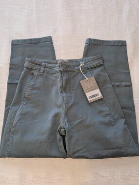 NWT Everlane Utility Barrel Pant